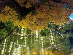 -横店影视城梦幻谷园区