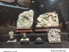 -烟台自然博物馆