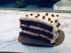-Madeleine玛德琳(永平里店)