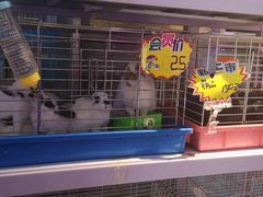 -宝鸡东道花鸟鱼虫市场(吉利花园商场店)