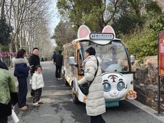 -合肥野生动物园