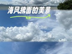-深圳湾公园-停车场