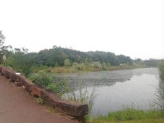 -白鹭湾湿地公园