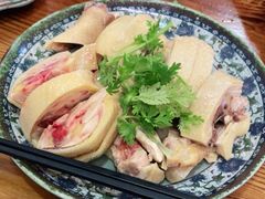 -九斤黄三黄鸡专卖店