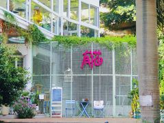 -有猫主题·治愈系猫咖(曾厝垵店)