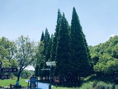 -宜兴龙背山森林公园