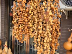 -中环花鸟鱼虫市场