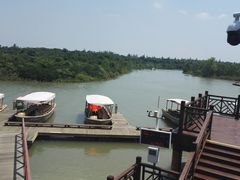 -东寨港红树林旅游区