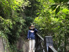 -九鲤湖风景区