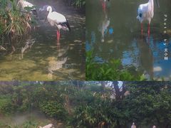-珠海长隆海洋王国