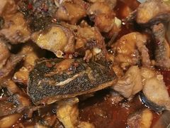 -涿派·炝锅鱼(涿州店)