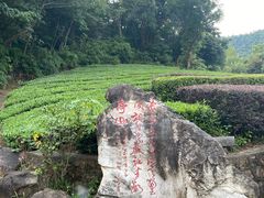 -敬亭山风景名胜区