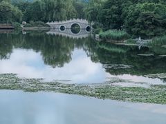 -国家植物园