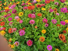 -山西乌金山旅游区