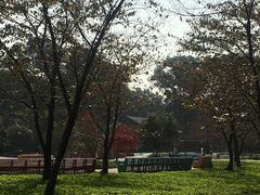 -东湖磨山景区