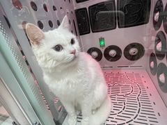 -FAELING PETS美天灵宠物(富力广场店)