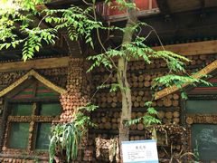 -北京呀路古热带植物园