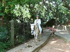 -水濂山森林公园