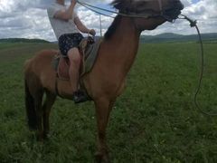 -塞罕坝国家级自然保护区