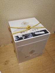 -瑞银鸟纯银手工(铂尔曼店)