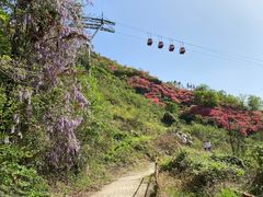 -木兰云雾山