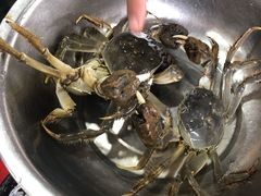 -洞天食府(北大街店)