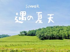 -关山草原