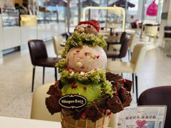 -哈根达斯(上海金山店)