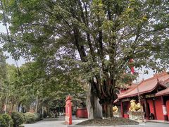 -南岳明心寺