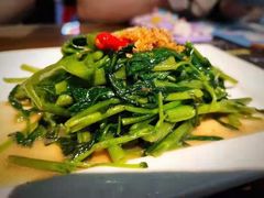 秘制虾酱炒空心菜-帕蓝·暹罗料理(曲阳店)