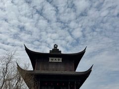 -鲁镇