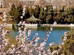 -北海公园