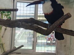 -西霞口神雕山野生动物世界