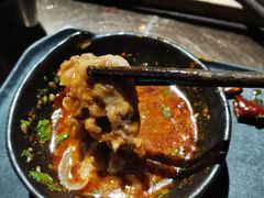 -辣伍鲜毛肚老火锅(元一店)