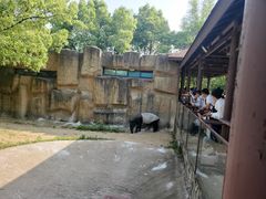 -杭州野生动物世界