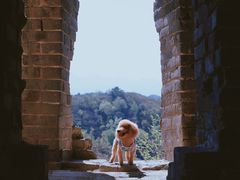 -蟠龙山长城景区