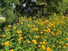 -国家植物园南园