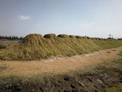 -嘉北郊野公园