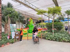 -南宫五洲植物乐园