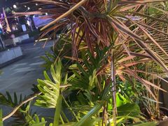 -木屋烧烤(坂田天安云谷店)