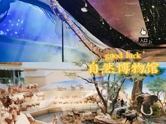 -武汉园博园(武汉自然博物馆)