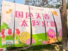 -太阳宫公园