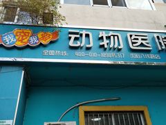 -瑞派宠物医院·内科·软组织·绝育中心(沈阳八纬路分院)