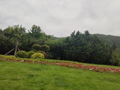 -棒棰岛宾馆景区