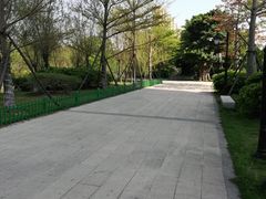 -花溪公园