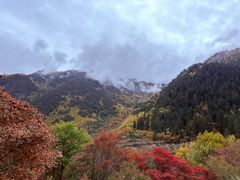 -九寨沟-树正沟