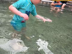 -三江森林温泉度假区