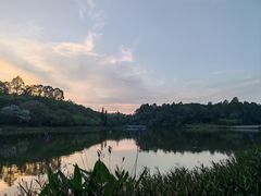 -南国桃园旅游度假区