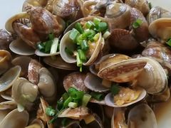 -枸杞岛