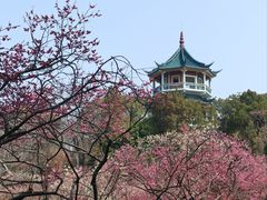 -无锡梅园公园